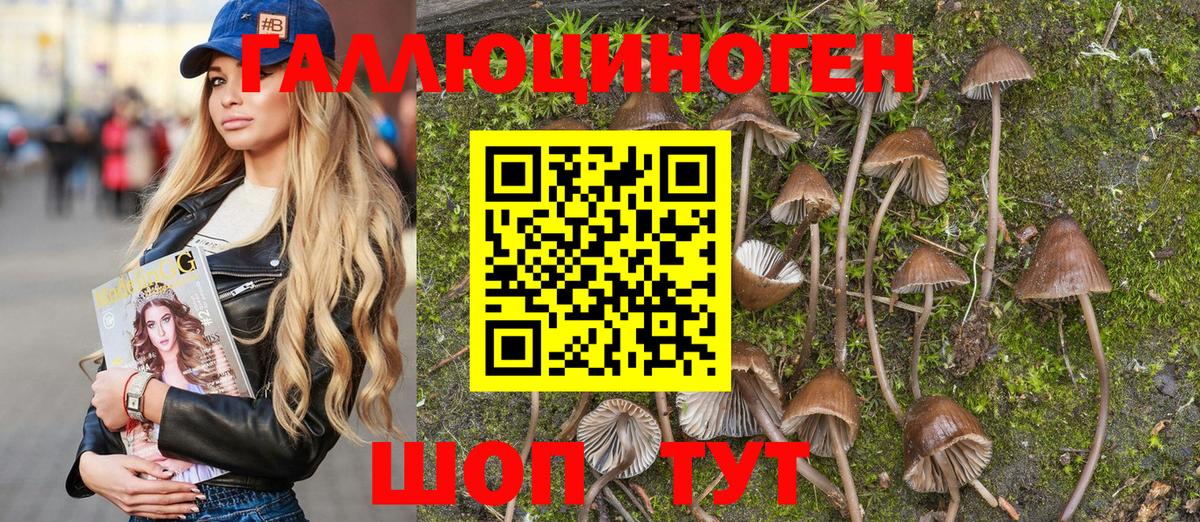Галлюциногенные грибы Psilocybe  сколько стоит  Долгопрудный  Вход с VPN 