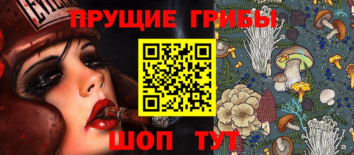 Псилоцибиновые грибы прущие грибы Долгопрудный